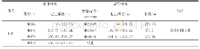 《表1 DT1钻孔特征表》