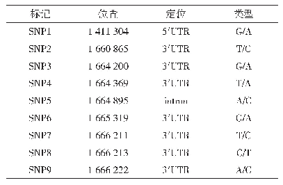 表2 肉兔IGF-IR基因SNP位点初筛结果