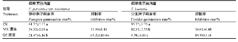 表3 发酵滤液对烟草黑胫病菌和根黑腐病菌孢子萌发的影响