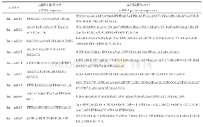 表1 向日葵10个新预测miRNA的前体序列及成熟序列
