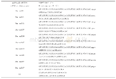 表2 实时荧光定量PCR引物序列