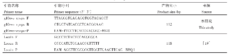 表1 本研究中采用的引物和探针