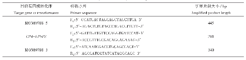 表2 根据转化体的序列设计的引物