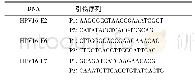 表1 HPV16 E2、HPV16 E6和HPV16 E7的DNA所用引物序列