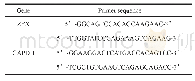 《表1 ZFX及GAPDH引物序列》