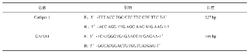 表1 基因扩增引物序列：补肾益精汤对弱精症大鼠精子线粒体功能的影响及其相关机制研究