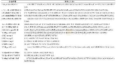 《表2 本研究所用引物信息》