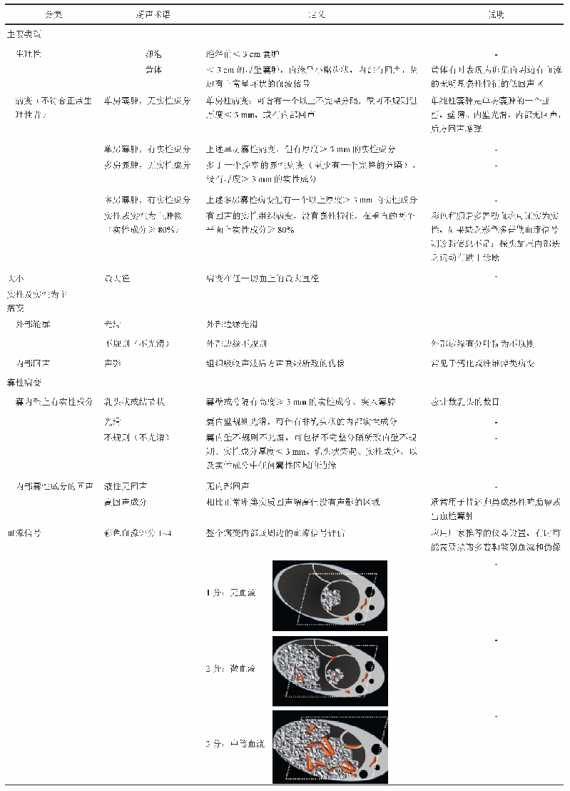 表1 卵巢-附件超声报告和数据系统的超声术语、定义及解释[1]