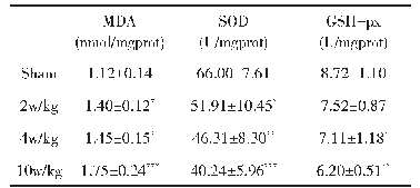 表1 3500MHz EMR对豚鼠听皮层组织MDA含量及SOD、GSH-px活性的影响