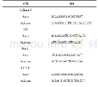 《表1 相应成骨基因引物序列》