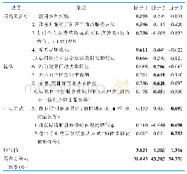 《表2 中文版慢性病共存治疗负担问卷各条目因子载荷情况（n=220)》