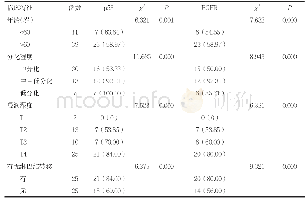 《表2 大肠癌中p53和EGFR表达与临床特征的关系[n(%)]》