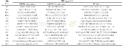 《表1 病毒检测RT PCR引物序列》