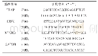 表1 荧光定量PCR引物序列表