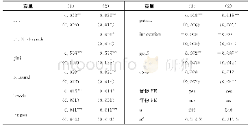 表6 模型（2）、模型（3）的估计结果