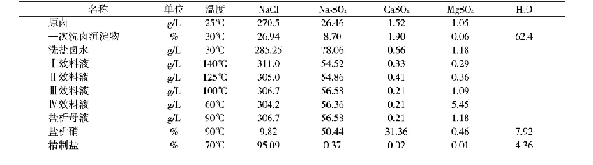 表3 热盐析法盐硝联产生产数据