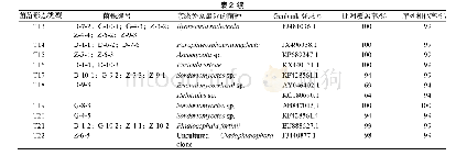 《表2 菌株的r DNA ITS序列BLAST结果》