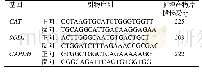 表1 基因引物序列和片段长度
