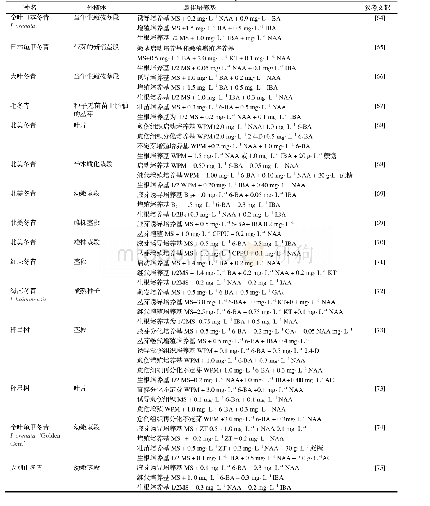 《表1 冬青属植物组织培养概况》