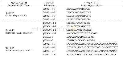 《表1 紫玉兰MlSOC1基因克隆、表达分析及载体构建相关引物》