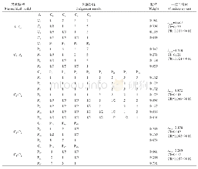 表2 C-P判断矩阵和一致性检验结果