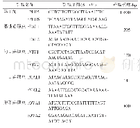 《表1 巢式PCR检测疟原虫种类的引物》