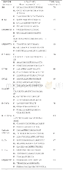 表1 RT-PCR扩增引物和探针序列