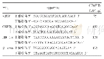 《表1 VEGF、GRP78、HIF-1α引物序列》