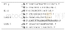 《表1 IFN-γ、IL-12、CXCL-9和CXCL-2的引物序列》
