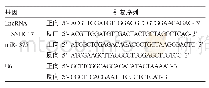 表1 LncRNA SNHG17、mi R-375引物序列