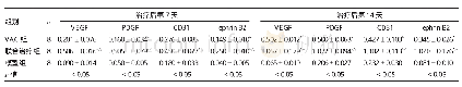 表4 3组家兔治疗后第7、14天新生血管相关基因表达水平比较