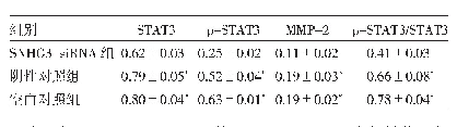 《表7 3组BGC-823细胞STAT3、p-STAT3、MMP-2蛋白表达水平的比较》