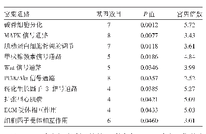 表3 前10项KEGG通路富集结果