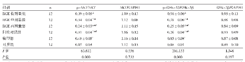《表3 6组大鼠肾脏组织p-AKT、AKT、p-GSK-3β、GSK-3β蛋白表达水平比较》