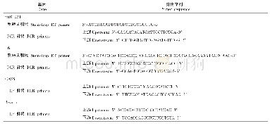 《表1 各基因反转录引物与PCR引物序列》