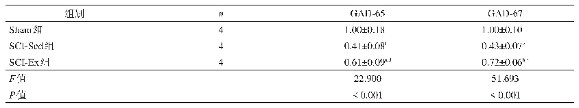 《表3 各组GAD65和GAD-67 Western blotting相对表达量》