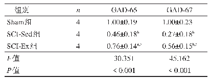 表4 各组脊髓后角GAD-65和GAD-67相对免疫强度比较