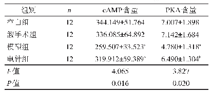 表2 各组逼尿肌c AMP含量比较(pg/ml)