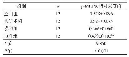 表3 各组逼尿肌内p-MLCK相对灰度值比较