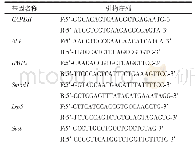 表1 实时荧光定量聚合酶链反应目的基因的引物序列