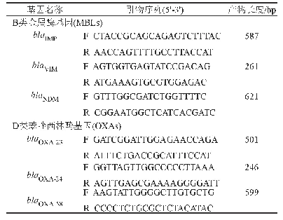 表1 PCR引物序列：重症监护病房耐碳青霉烯鲍曼不动杆菌6种耐药基因检测