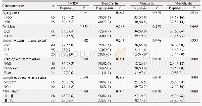 表2 乳腺癌中JMJD3、E-cadherin、Vimentin及N-cadherin的表达与临床病理特征的关系(n(%))