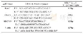 表1 RT-PCR特异性引物序列