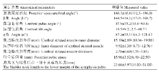 表1 膀胱尿道相关解剖参数测值详表±s(min～max)