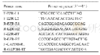 《表1 PCR引物序列Tab.1 Sequences of primers used for PCR》