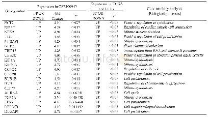 表2 20个Hub基因涉及的生物学功能及其在ESCC组织中表达的验证Tab.2 The biological functions of 20 Hub genes and the verification of their expressio