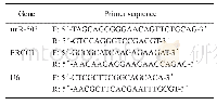 表1 PCR引物序列：miR-503靶向ERCC1抑制食管鳞状细胞癌放疗抵抗作用的机制