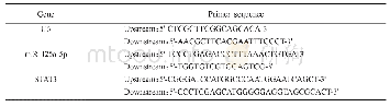 表1 基因U6、miR-125a-5p和STAT3的引物序列