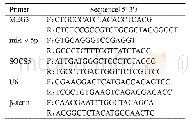 表1 PCR引物序列：lncRNA MEG3通过miR-9-5p/SOCS5轴对宫颈癌细胞恶性生物学行为的影响