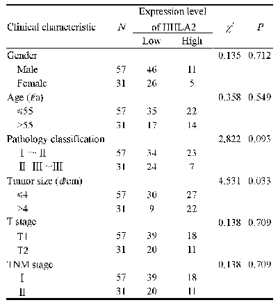 《表1 HHLA2表达与HCC患者临床病理特征的关系》